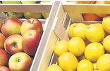Ticaret Bakanlığı, elma ve limon ihracatını kontrol altına alarak gıda arz güvenliği, tüketici refahı ve fiyat...