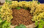 Tarım ve Orman Bakanlığı, kuru üzüm fiyatını 120 TL olarak belirledi. Üzüm üreticileri için önemli olan bu fiyat...