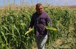 Tarım-ÜFE, Ağustos ayında yıllık yüzde 41,55 arttı. Yumuşak çekirdekli meyveler ve tarım ürünleri ile canlı hayvan...