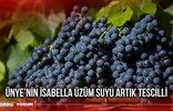 Ünye'nin ünlü İzabella üzüm suyu, coğrafi işaret tescili aldı. Ordu'nun bu lezzeti, organik yapısı ve zengin içeriği...